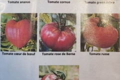 Planche Tomates