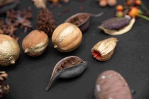 Troc Graines - Février 2026