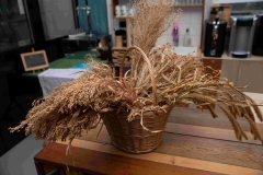 Photo-EricDelaneau_VDMTrocGraines_15-02-2026_08