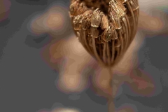 Photo-EricDelaneau_VDMTrocGraines_15-02-2026_19