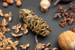 Photo-EricDelaneau_VDMTrocGraines_15-02-2026_22