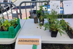 Troc Plants 2025
