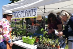 Troc Plants 2025